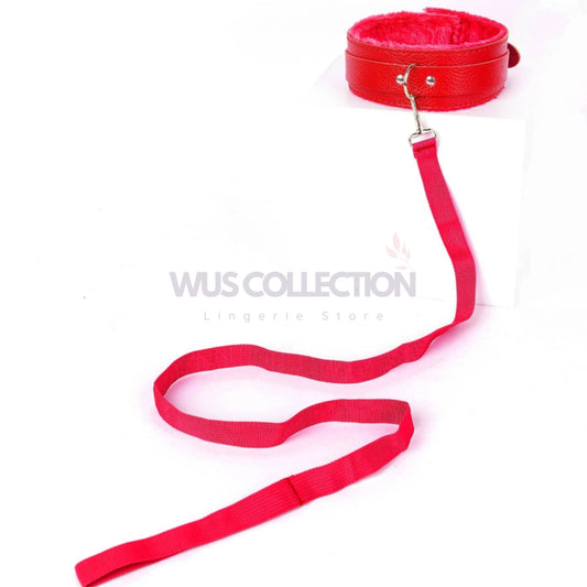 Collar With Leash Fetish Bdsm